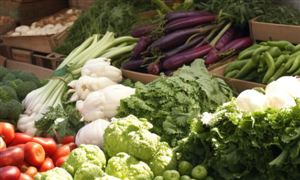 2024智能建造与建筑工业化协同发展(图5)