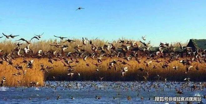 九游体育御岛财富(崇明)官方网站丨御岛财富欢迎您丨楼盘详情(图1) 九游体育御岛财富(崇明)官方网站丨御岛财富欢迎您丨楼盘详情(图1)